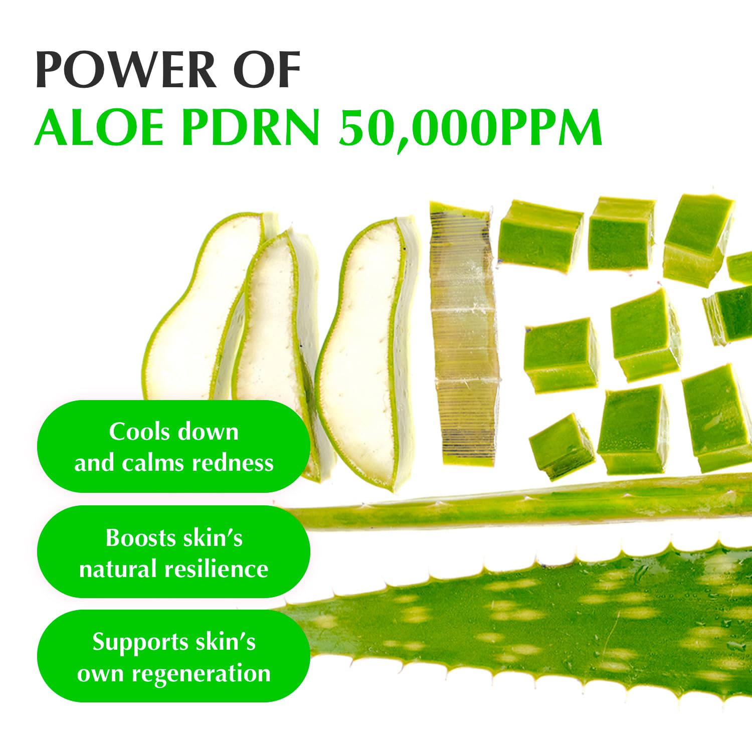 EQQUALBERRY Aloe PDRN Calming Serum (30ml)